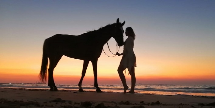 Desert horse riding or camel riding